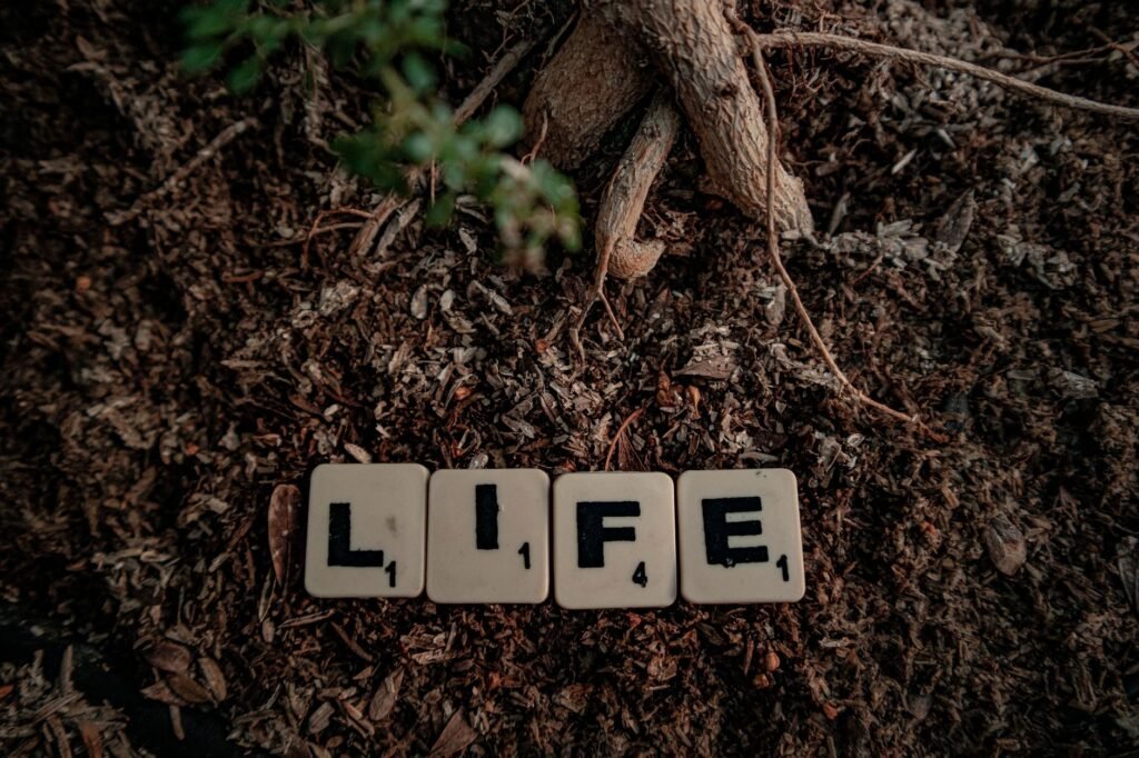 Abundant life prayer Abiding as the Root of All True Provision