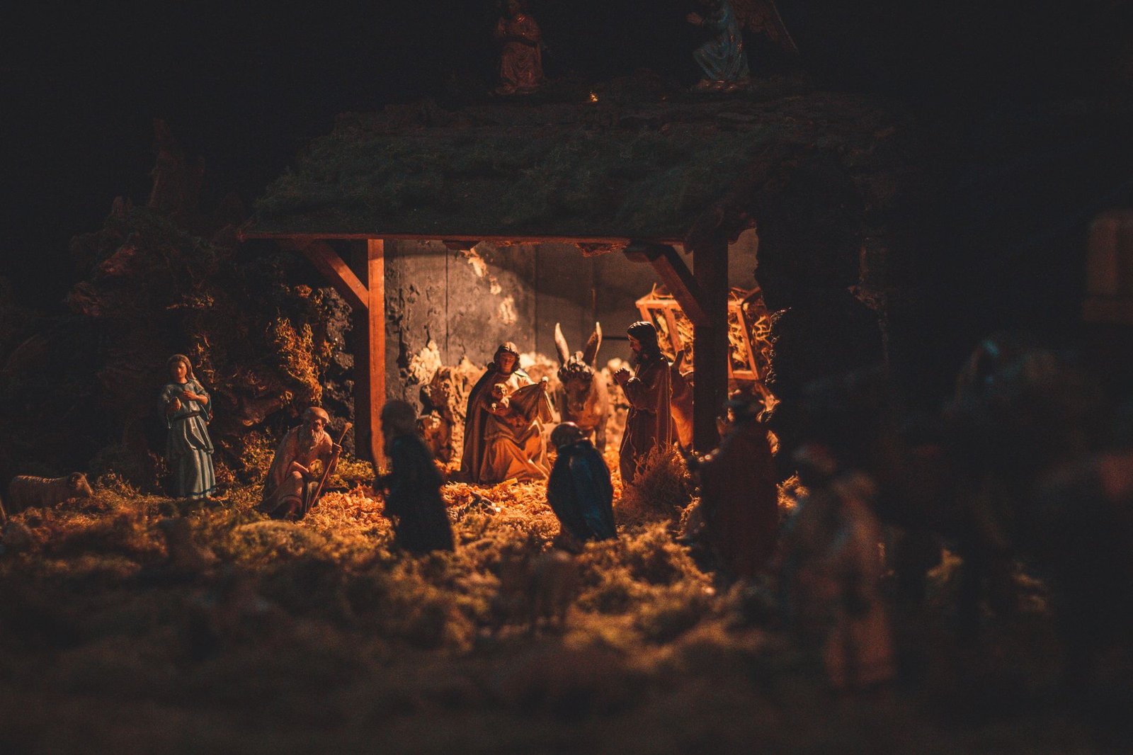 Joseph: From the Pit to the Palace