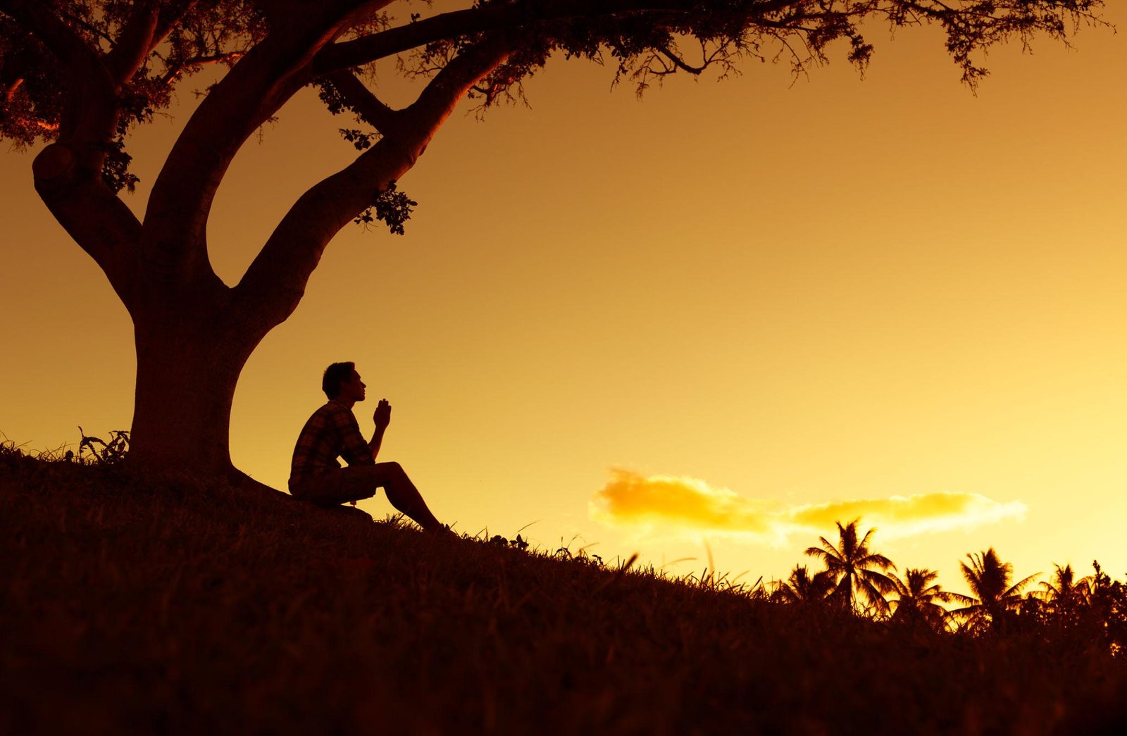 OFFERING A PRAYER OF FAITH