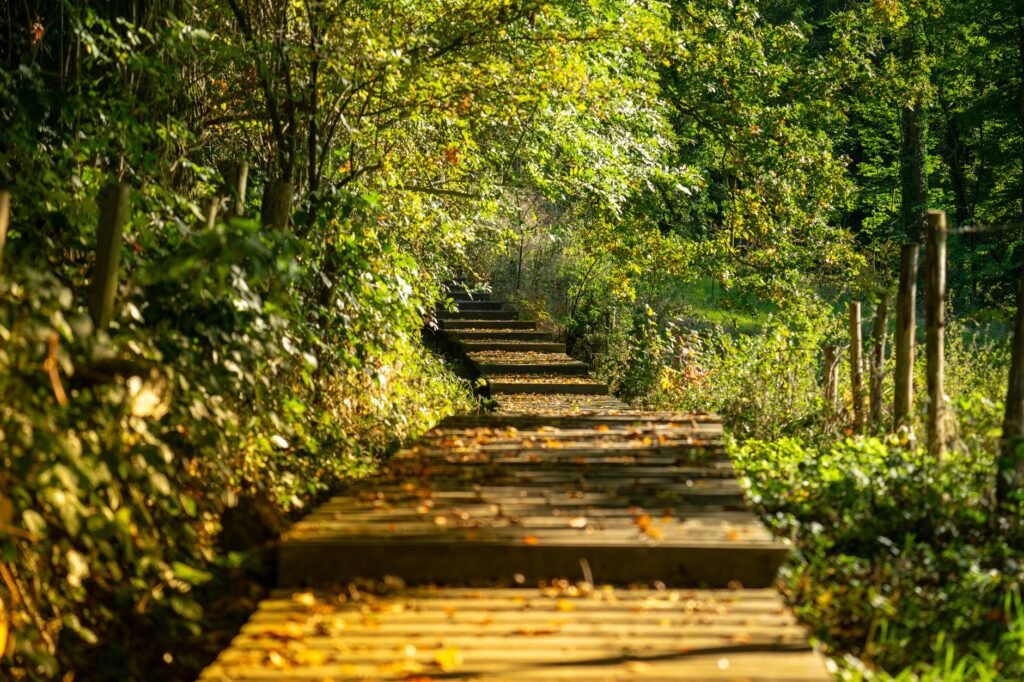 Forgiveness journey Steps Toward Forgiveness