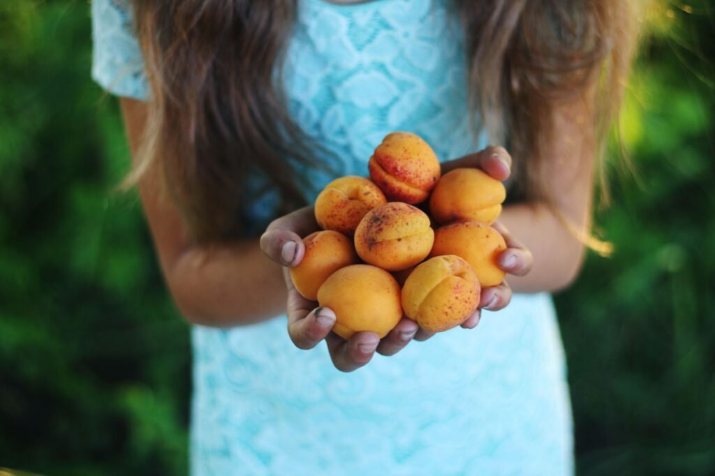 Fruitfulness and growth Applying Fruitfulness and Multiplication in Daily Life