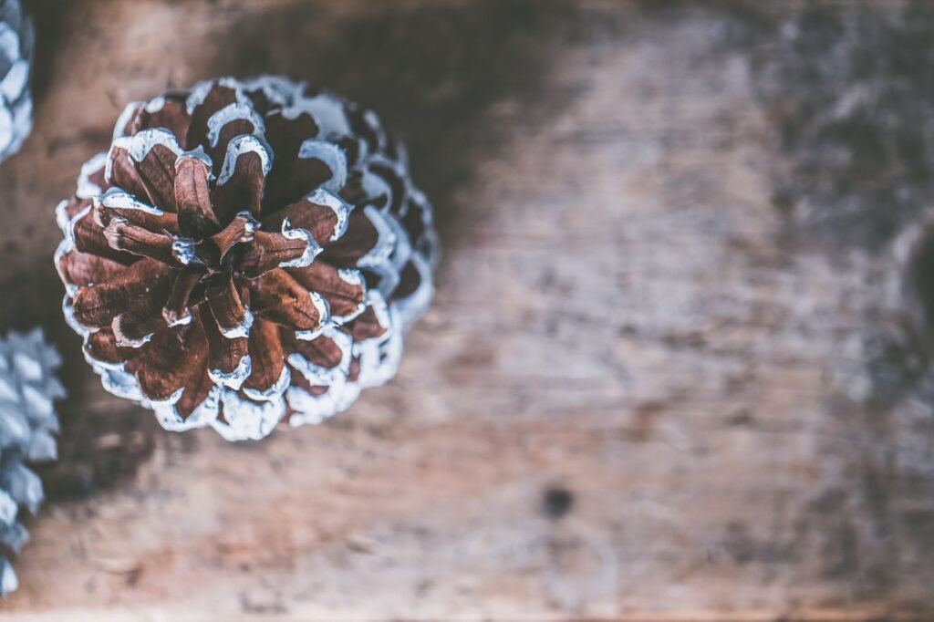 Holiday prayer Tips for Reducing Holiday Stress