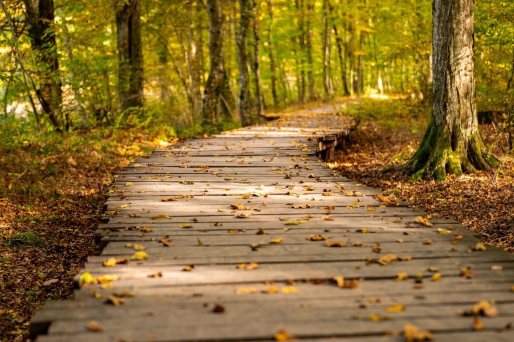 Home loss recovery Finding Your Path Forward
