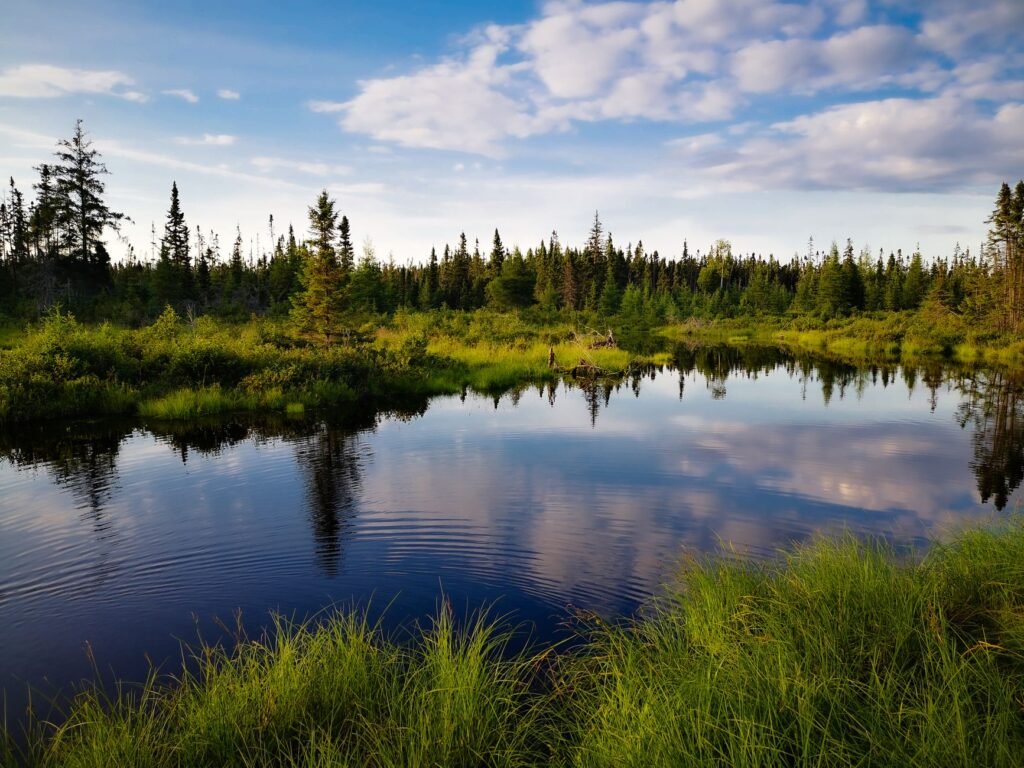 Peaceful nature scenes How to Experience God’s Perfect Peace