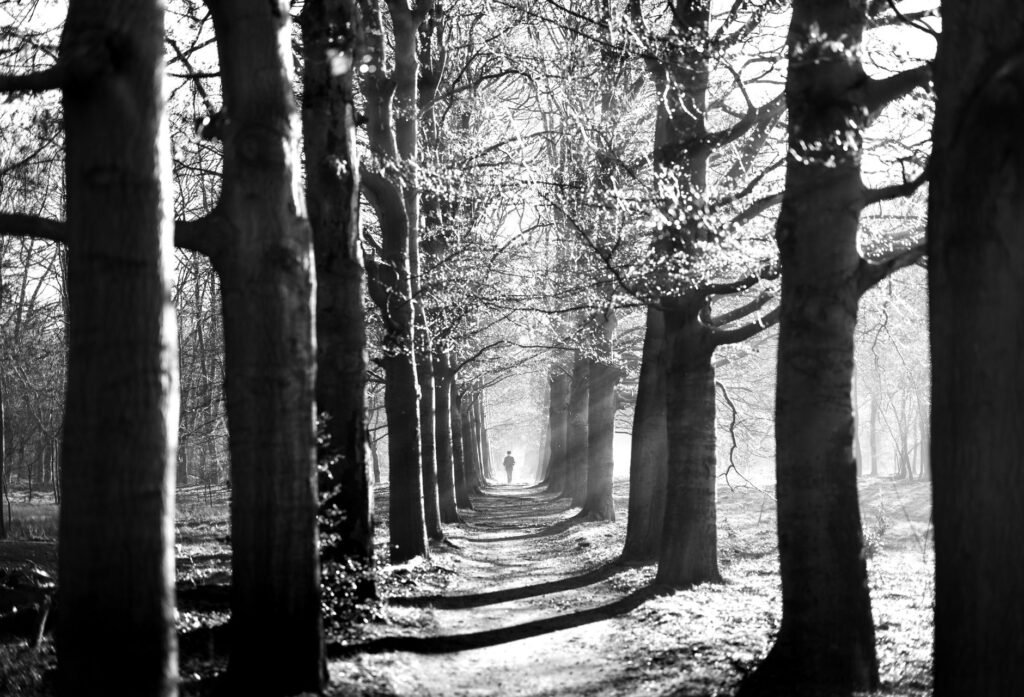 Restoration prayer Seeking Restoration: Steps to Move Forward
