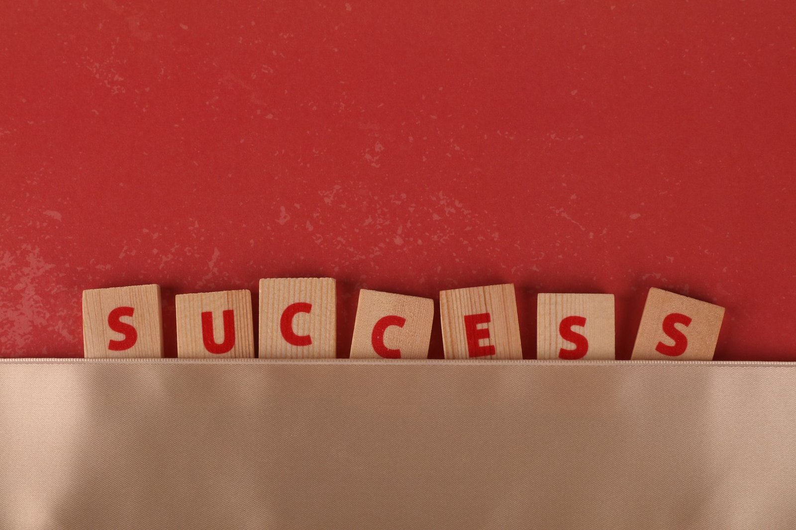 FOR SUCCESS IN MY CAREER