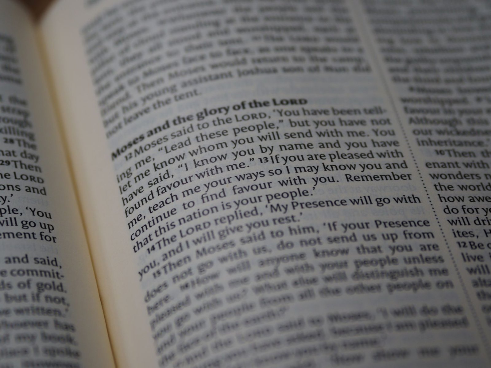 BIBLE VERSES ABOUT BELIEF AND FAITH