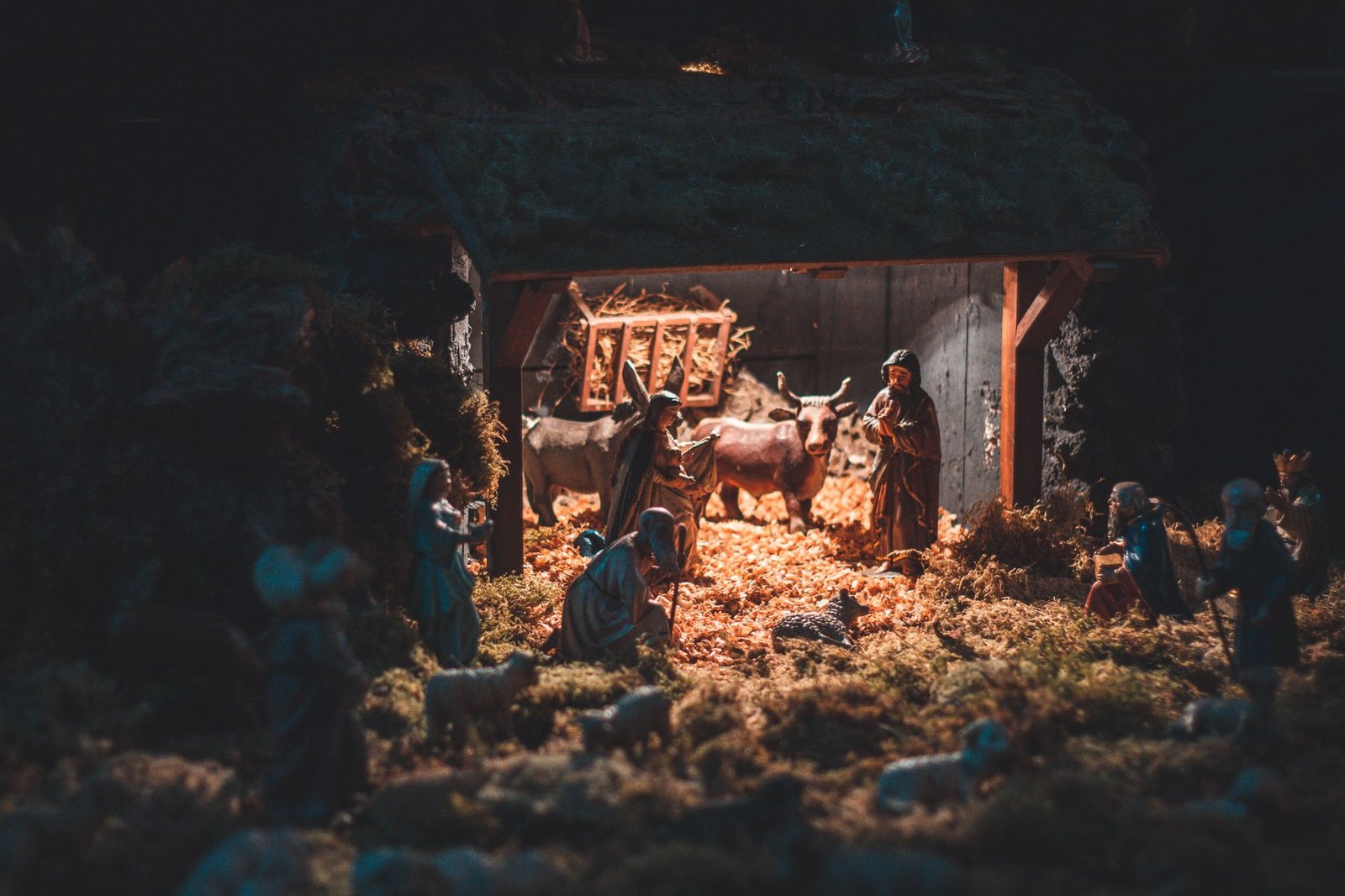 BIBLE VERSES ABOUT THE BIRTH OF JESUS KJV
