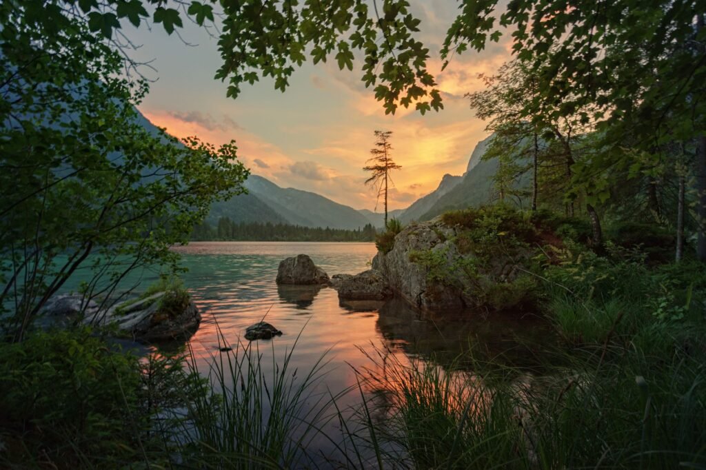 Calm nature scenes Practical Steps to Overcome Worry