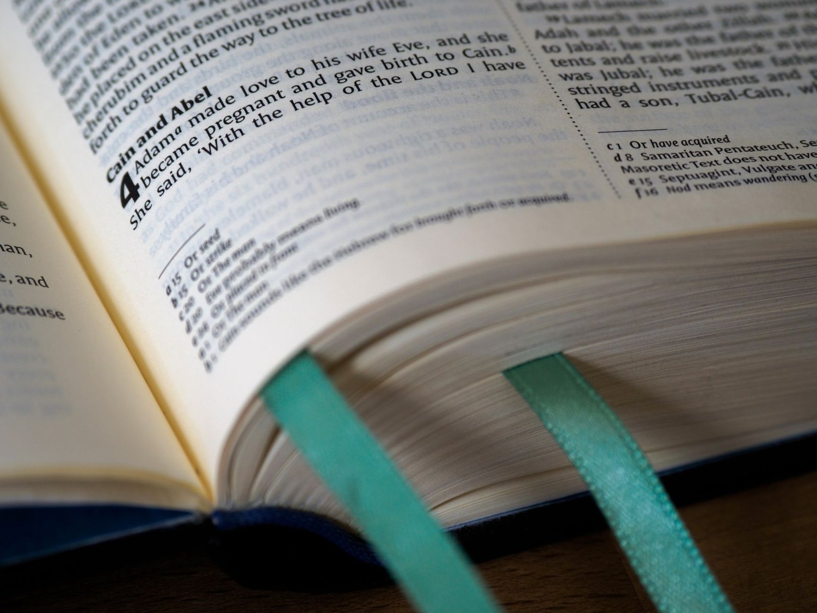 CATHOLIC BIBLE VERSES ABOUT LIFE