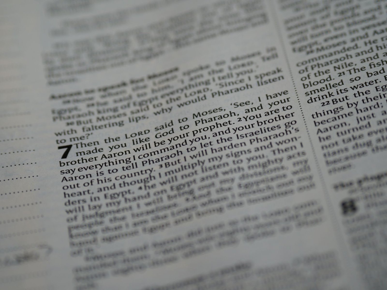 BIBLE VERSES ABOUT FALSE PROPHETS