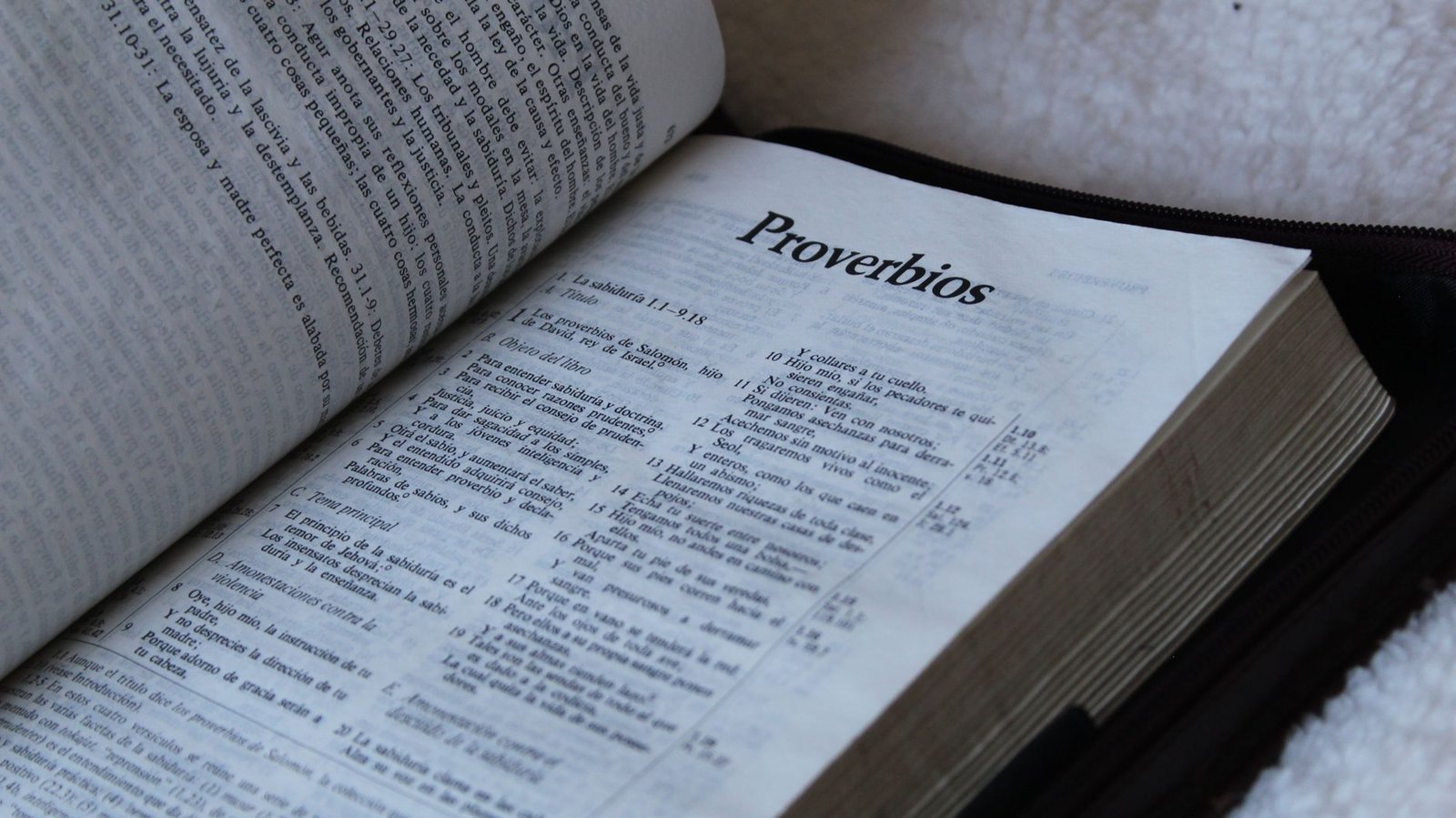 BIBLE VERSES FROM PROVERBS ABOUT WISDOM