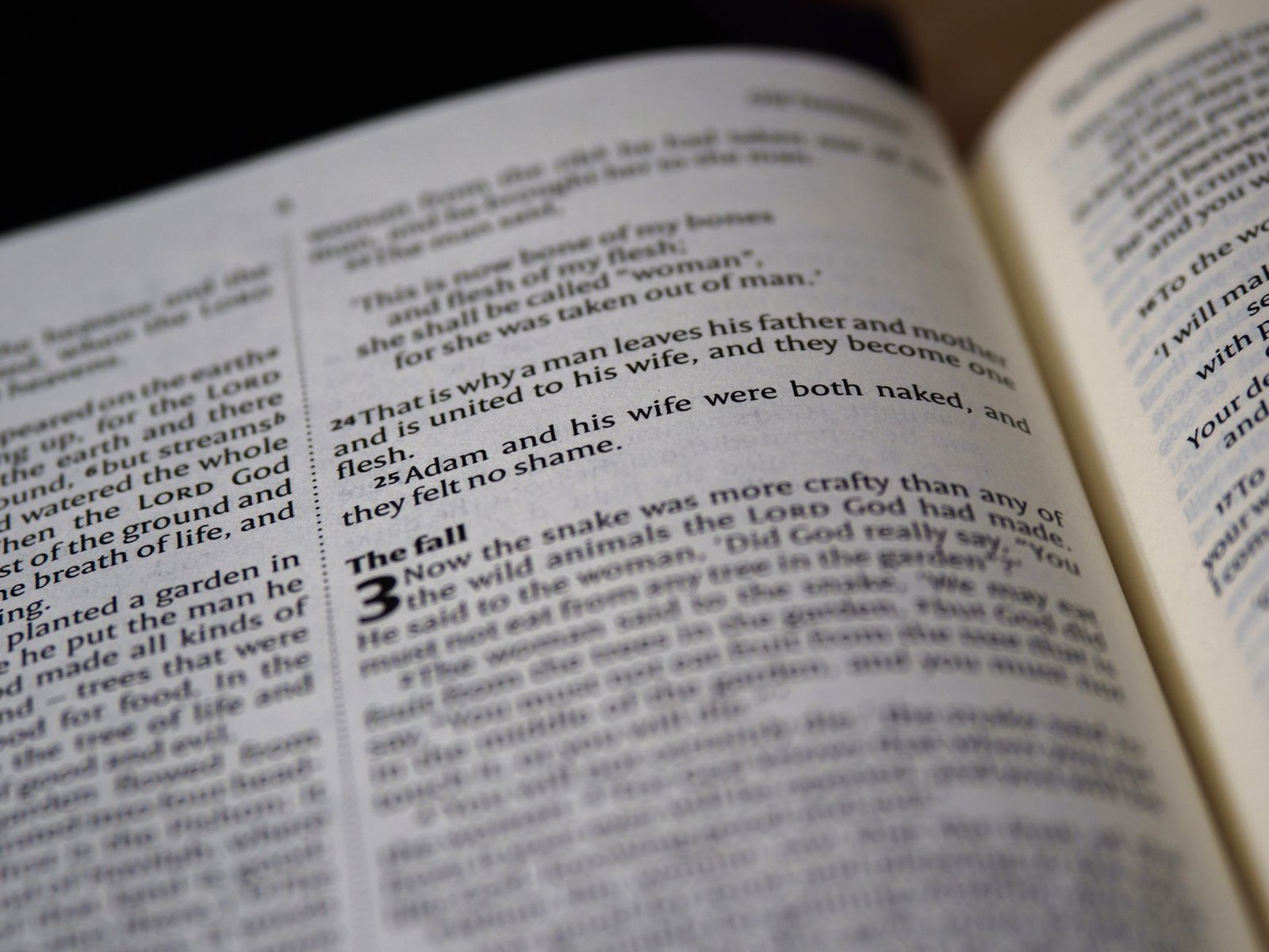 BIBLE VERSES ABOUT GENDER SELECTION