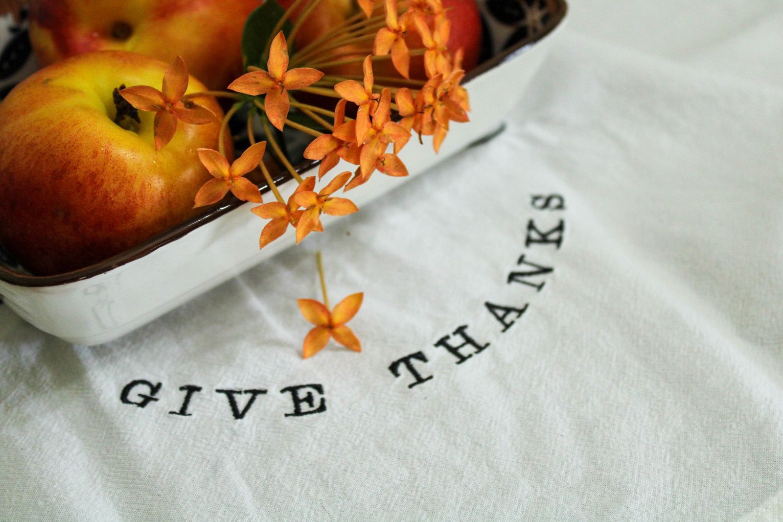 BIBLE VERSES ABOUT GIVING THANKS