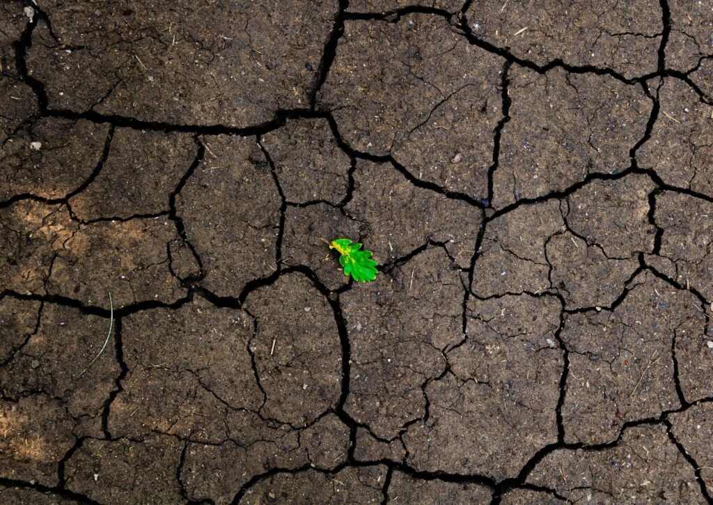 Hope in hard times Finding Strength in Adversity