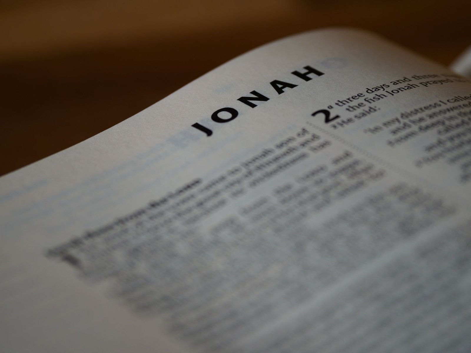 BIBLE VERSES ABOUT JUDGEMENT