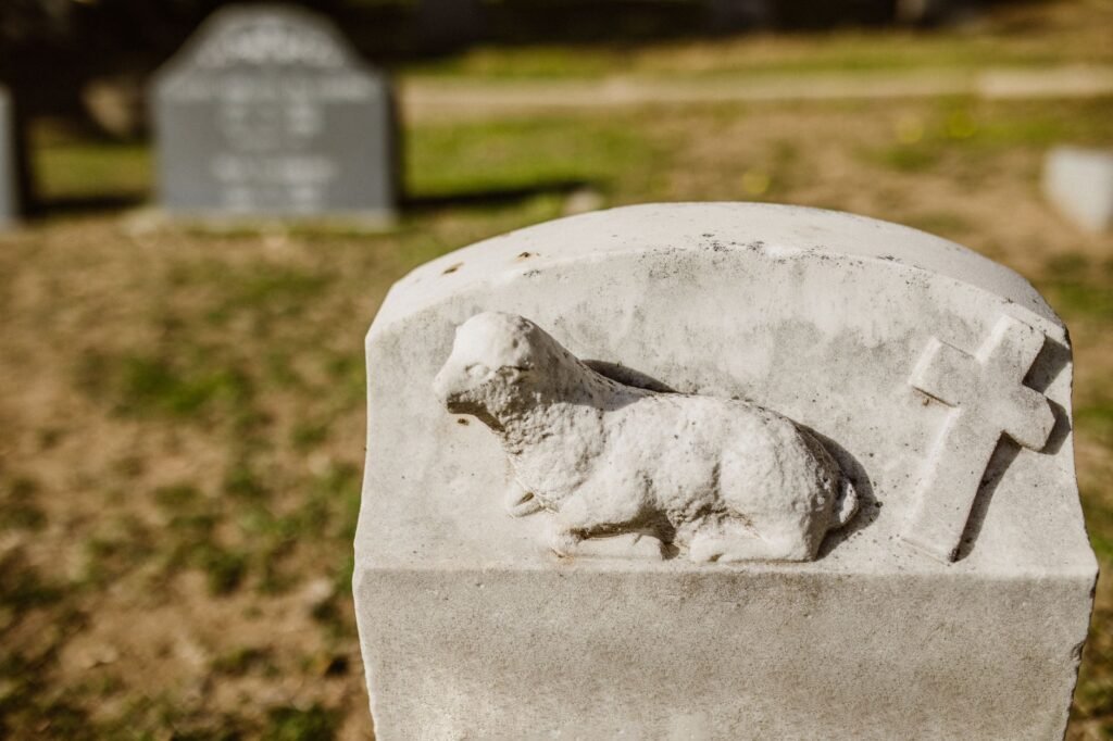 Life after death The Resurrection and Life After Death