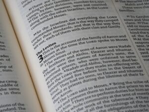 BIBLE VERSES ABOUT THE NUMBER 3