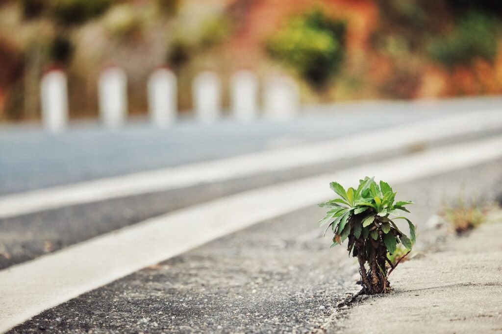 Overcoming obstacles Real-Life Applications of Biblical Wisdom