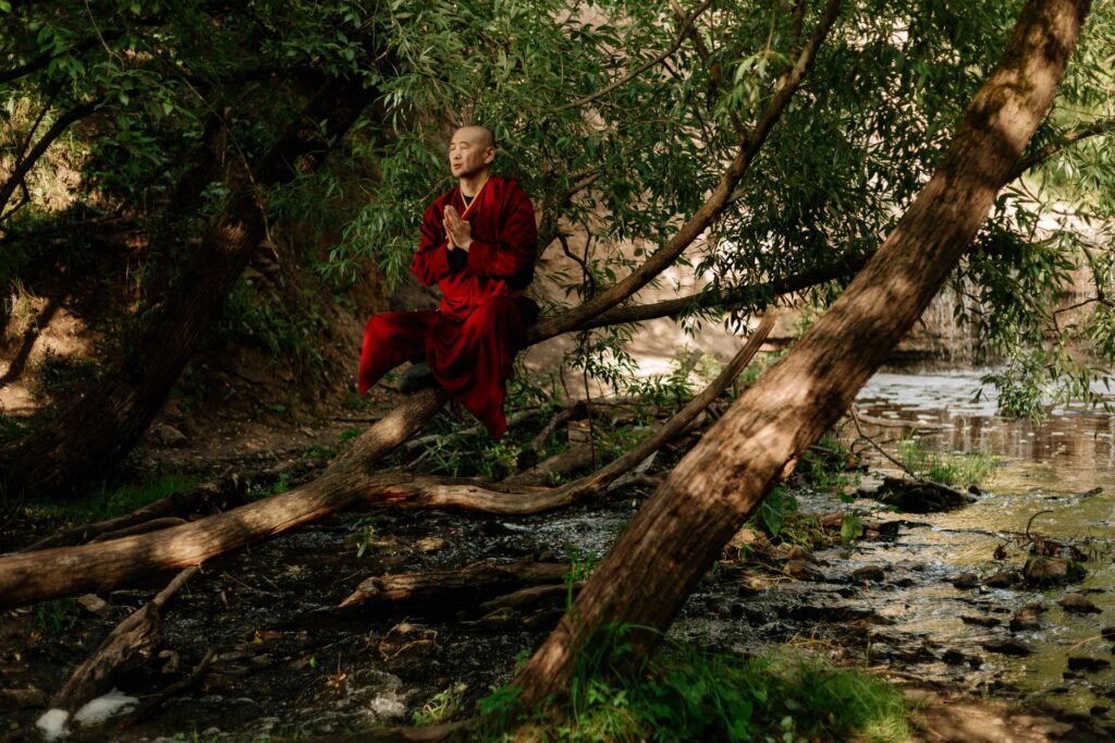 Peace in nature Practical Steps to Cultivating Peace