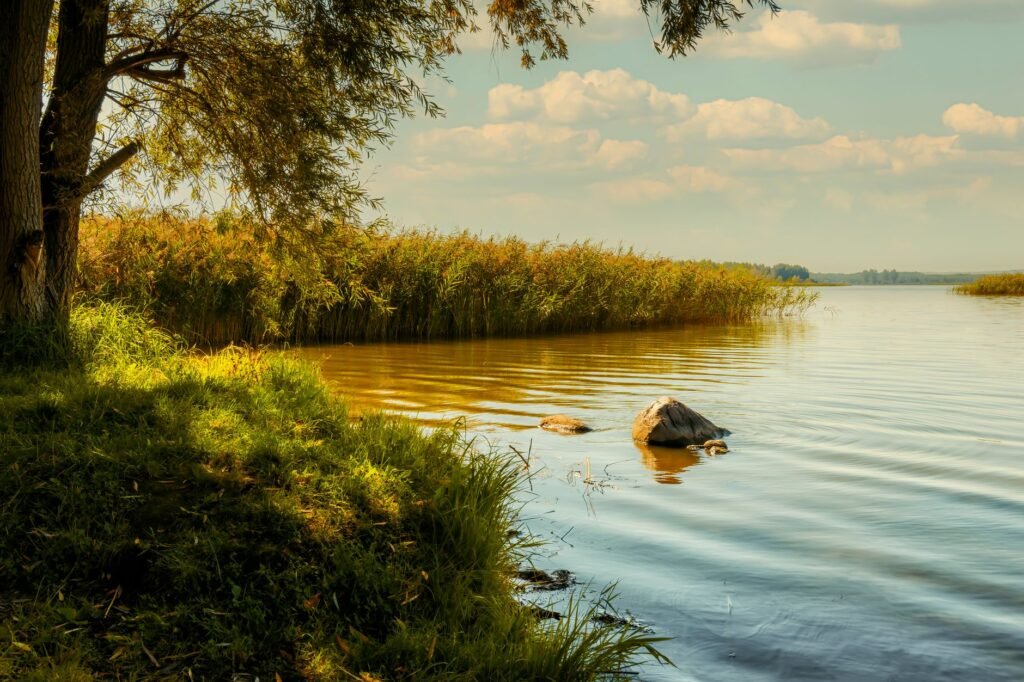 Peaceful nature scene Key Bible Verses About Peace