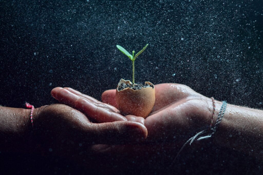 Protection in nature Key Bible Verses About Protection