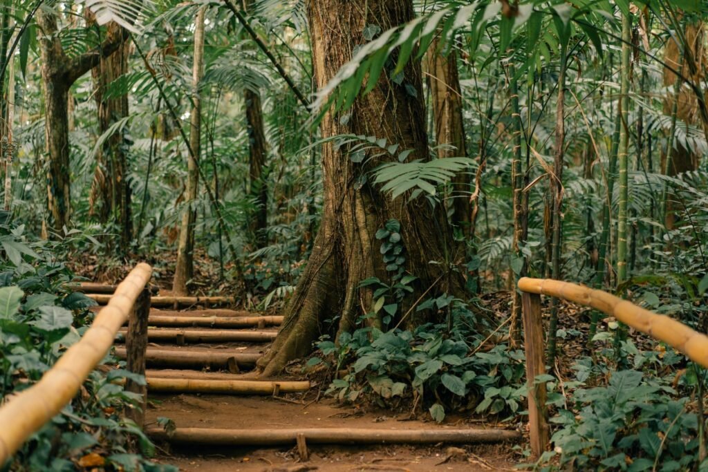 Protection in nature Practical Steps for Invoking Protection