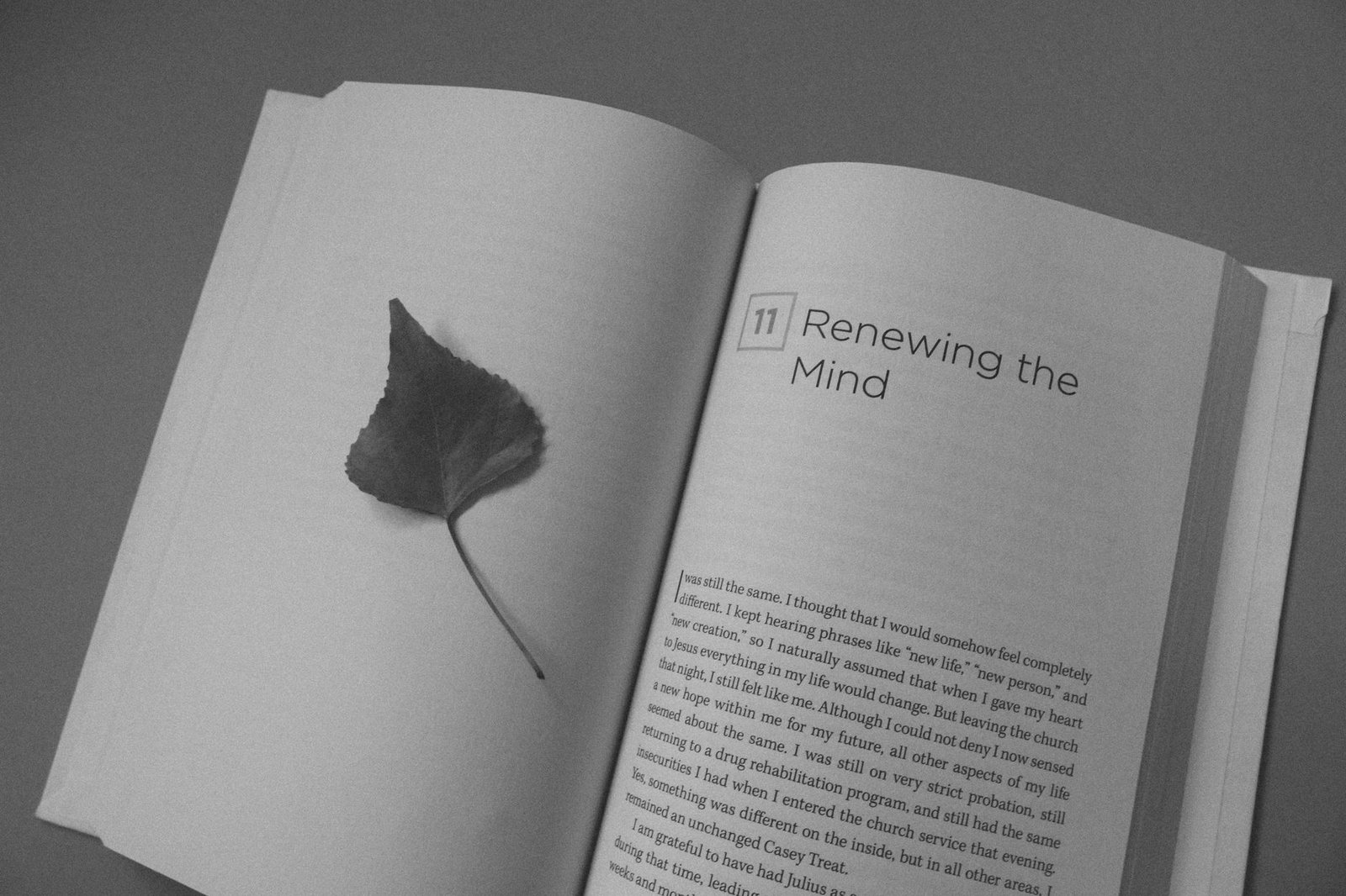 BIBLE VERSES ABOUT RENEWING YOUR MIND