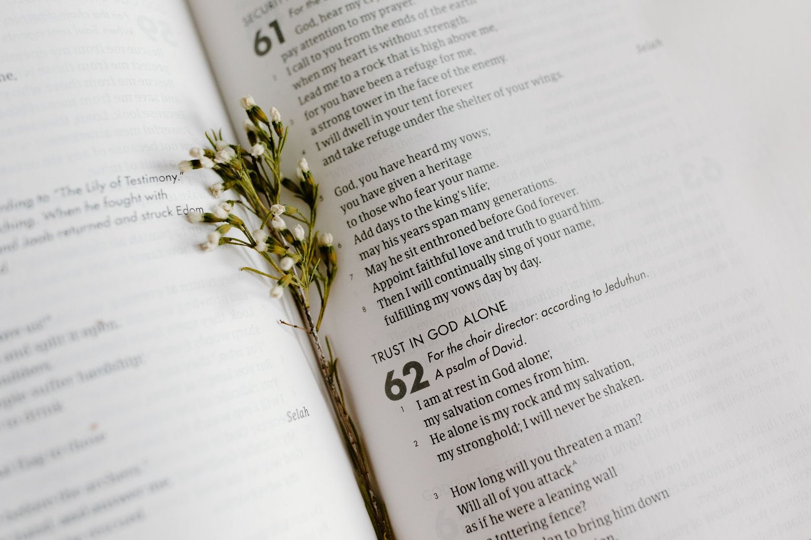 BIBLE VERSES ABOUT TRUSTING GOD PLAN
