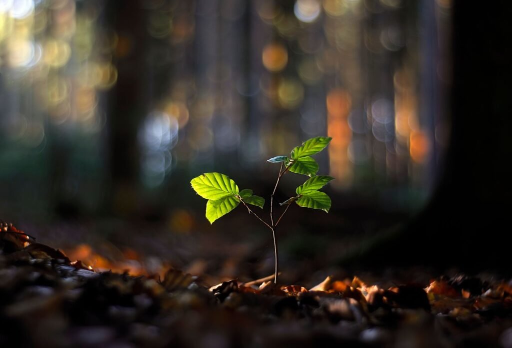 Growth in nature Short Bible Verses About Personal Growth and Strength