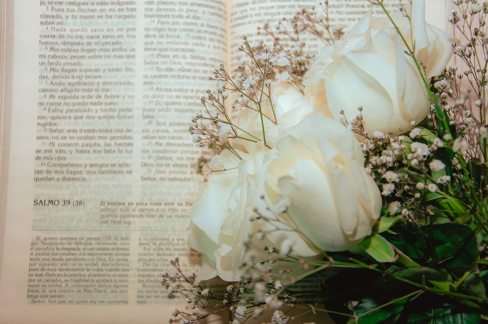 BIBLE VERSES ABOUT HAVING A BABY