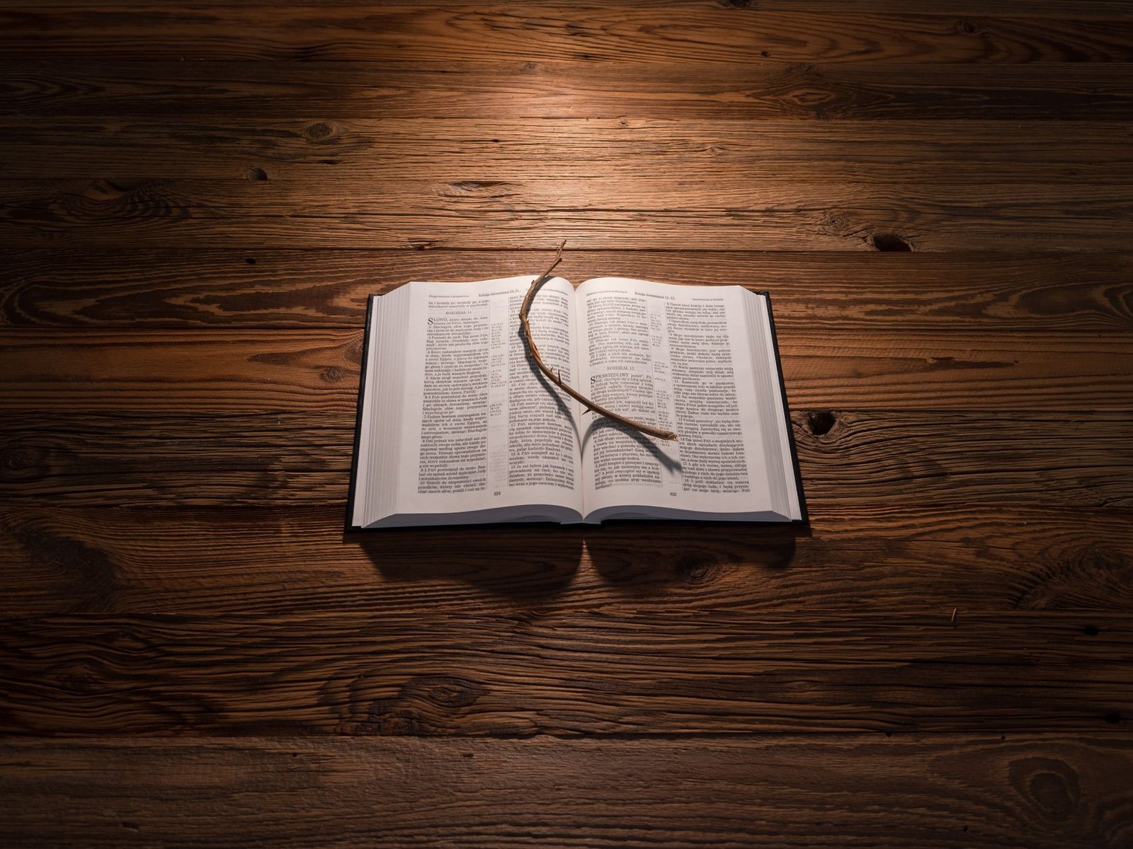 BIBLE VERSES ABOUT LEANING ON GOD IN TIMES OF TROUBLE