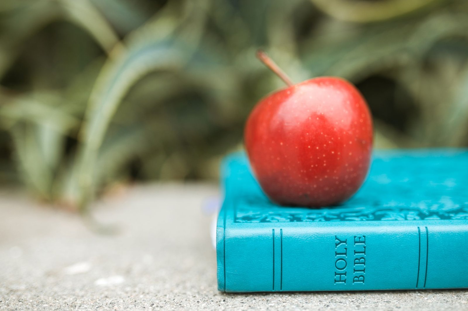 BIBLE VERSES ABOUT PHYSICAL HEALTH