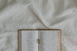 BIBLE VERSES ABOUT PURITY OF HEART