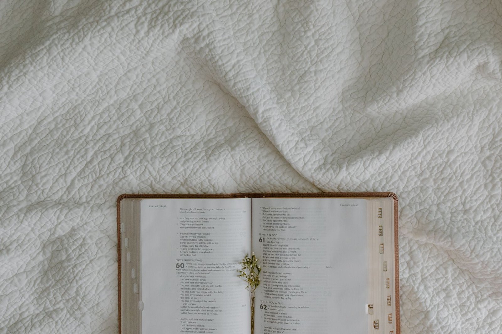 BIBLE VERSES ABOUT PURITY OF HEART