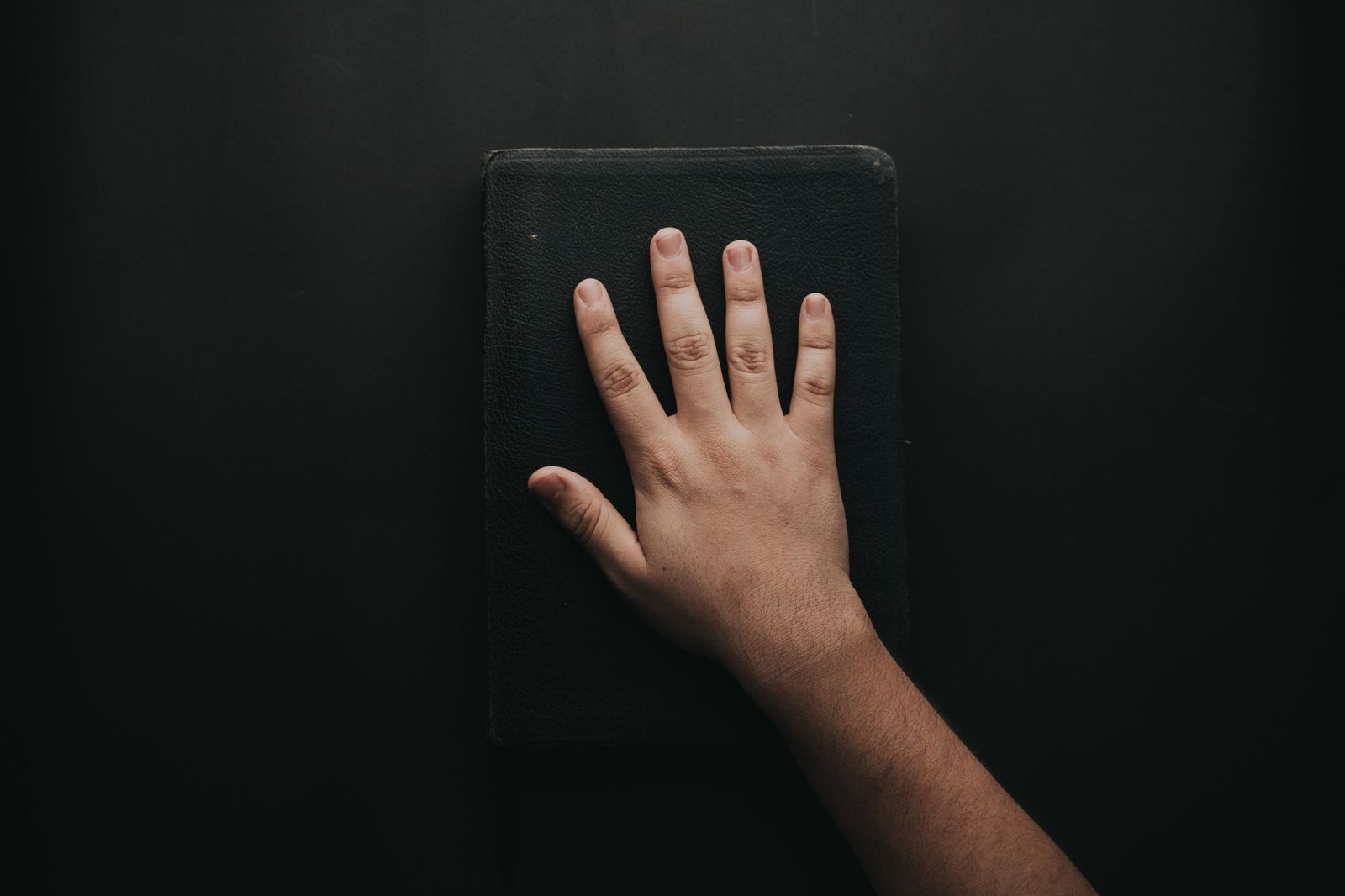 BIBLE VERSES ABOUT TESTIMONY KJV
