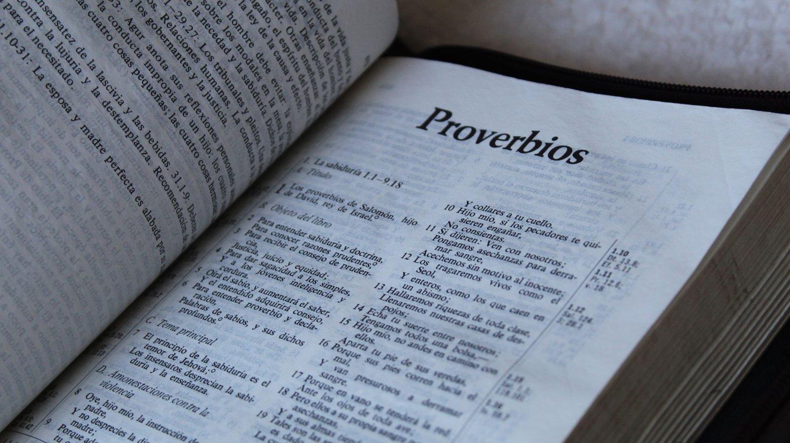 BIBLE VERSES ABOUT THE TRUTH