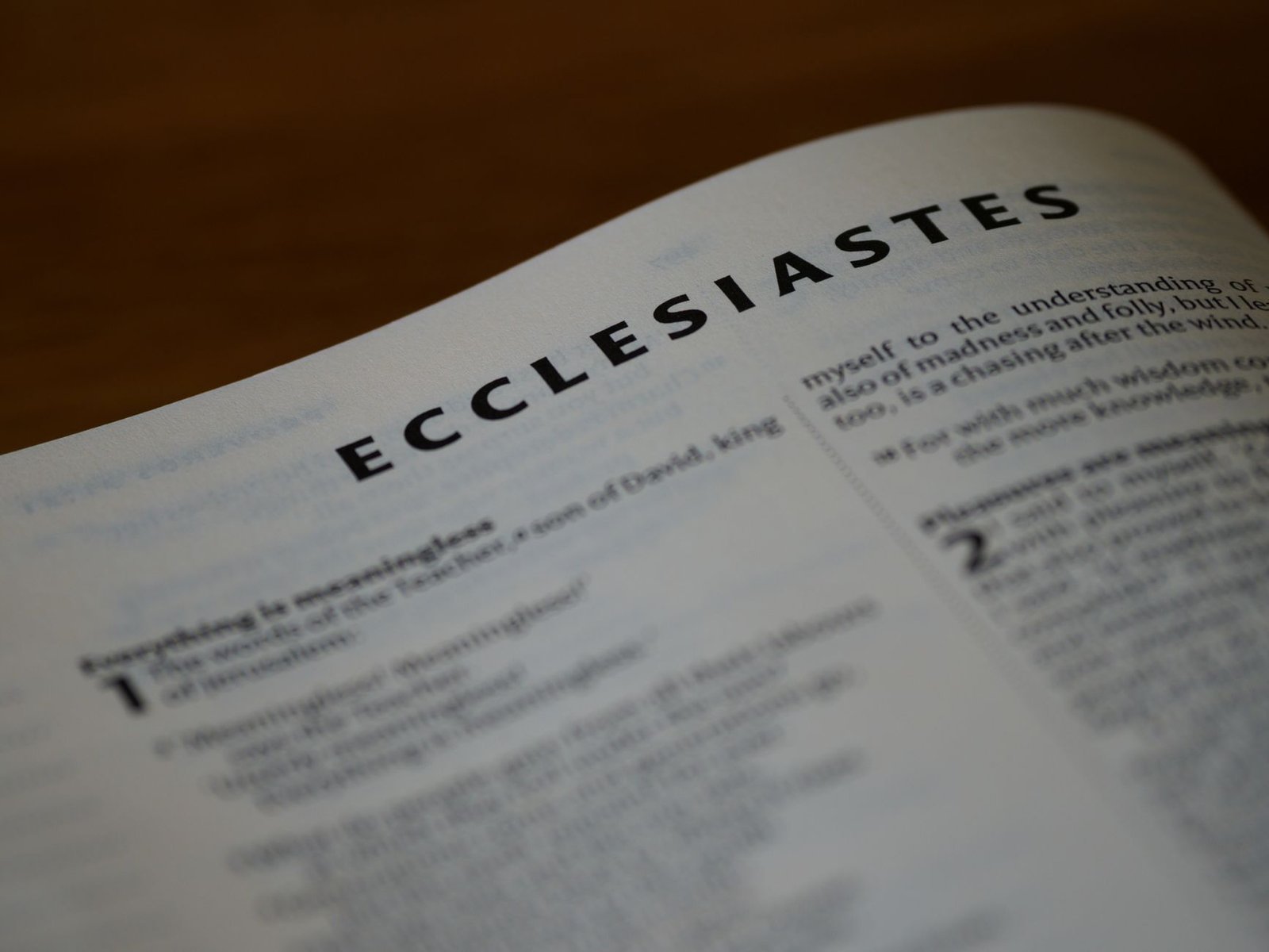BIBLE VERSES ABOUT WHO GOD SAYS I AM