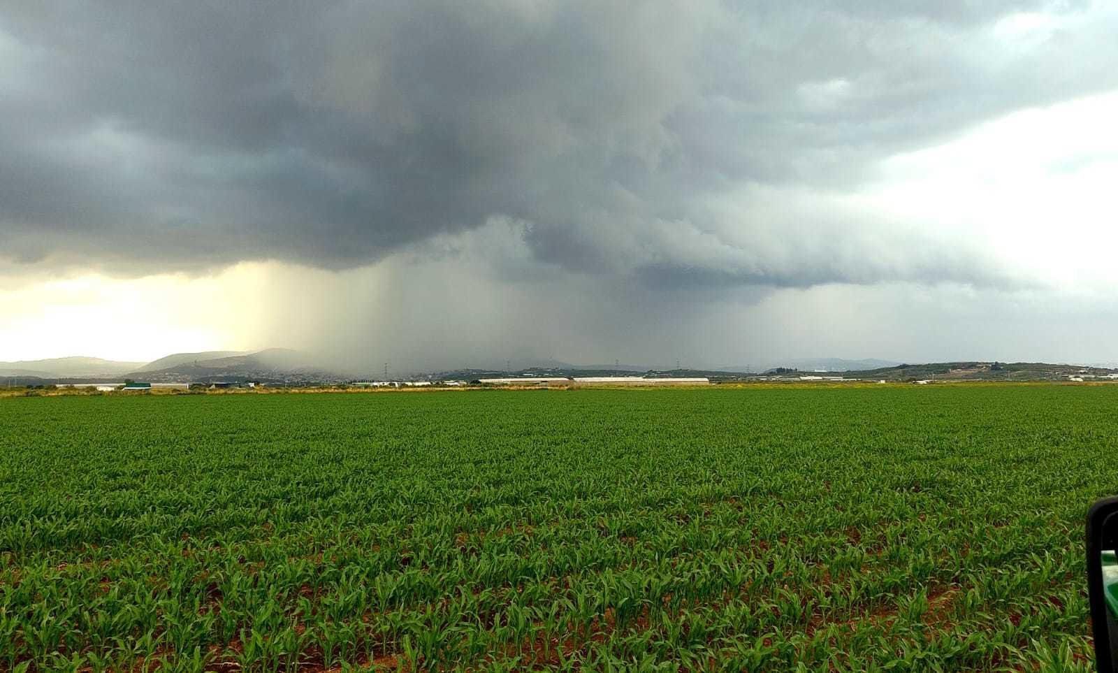 PRAYER FOR ISRAEL’S RAIN