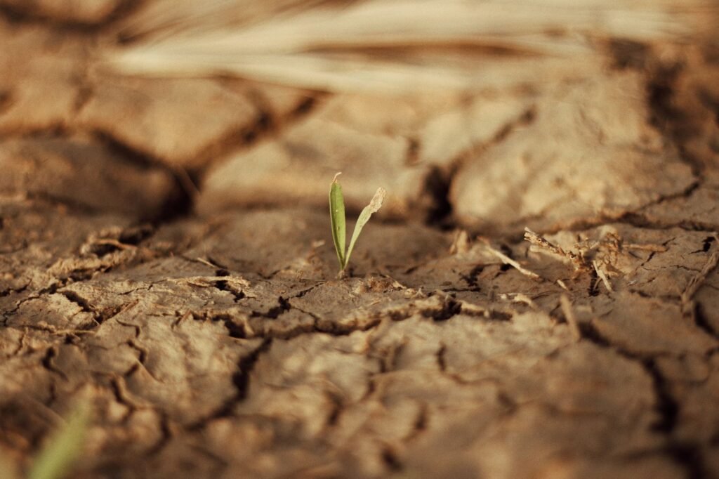 Hope and recovery Steps Towards Rediscovery and Healing