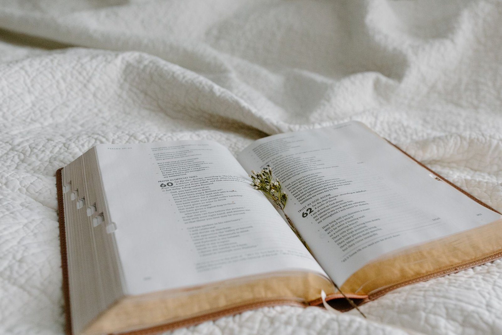 BIBLE VERSES ABOUT COMFORT AND PEACE