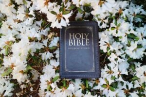 BIBLE VERSES ABOUT THE BEAUTY OF CREATION