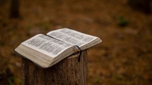 BIBLE VERSES ABOUT FAITH