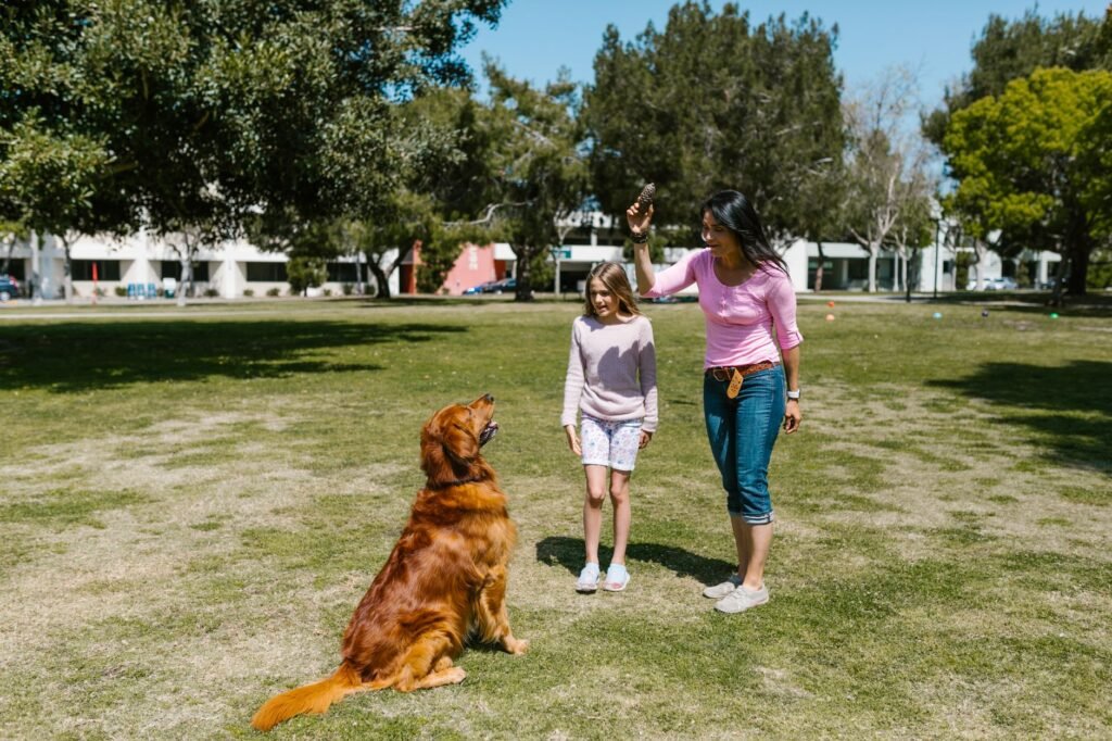 Family obedience Understanding the Purpose Behind Obedience