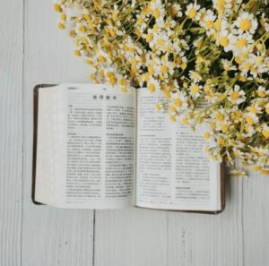 VERSES IN BIBLE ABOUT HEALING VERSES IN BIBLE ABOUT HEALING