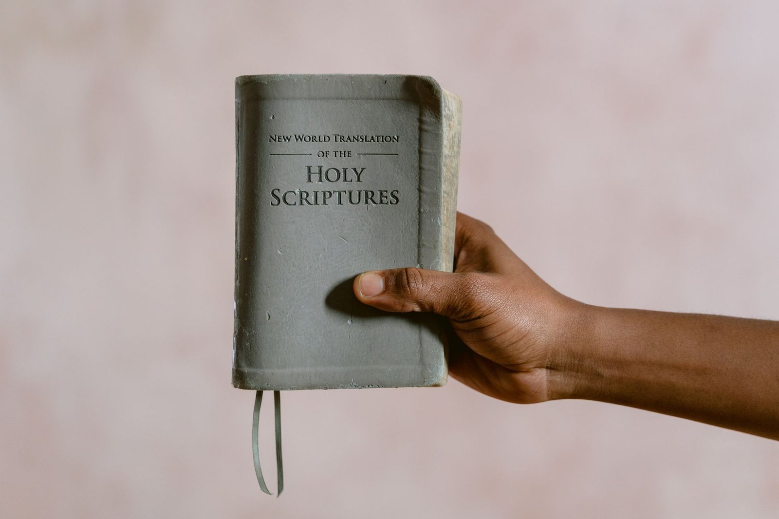 Holy Resilience: What Scripture Teaches Us About Rising After Failure