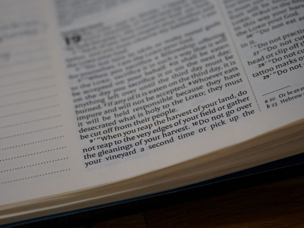 Holy Resilience: What Scripture Teaches Us About Rising After Failure Leaving the Past Behind to Press Forward