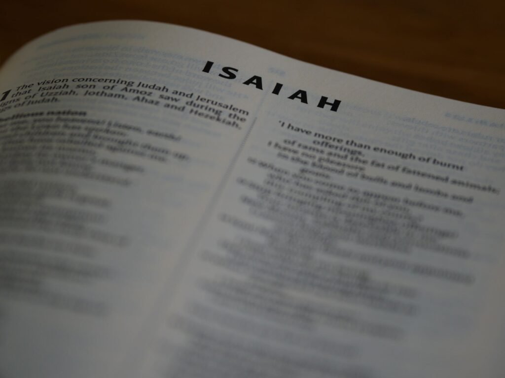Hope in God Isaiah 40:31