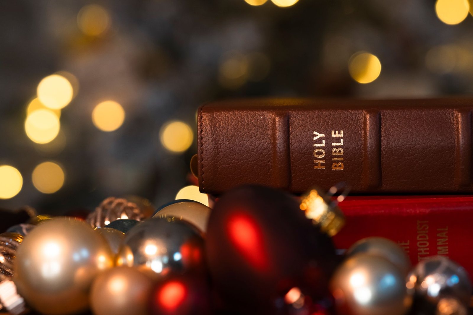 VERSES IN THE BIBLE ABOUT JOY
