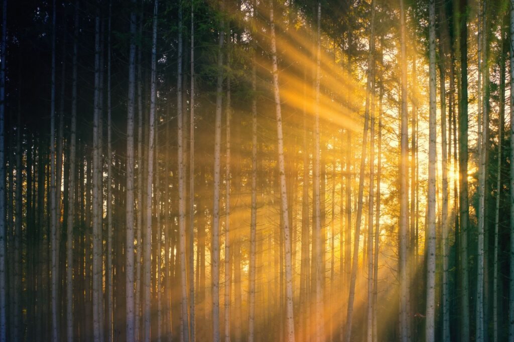 Light in nature The Call for Believers to Shine